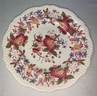 One Vintage Copeland Spode Dinner Plate Spode’s Aster England 10.  5” Floral