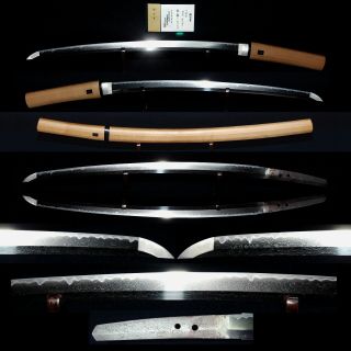 脇差 Wakizashi Antique Japanese Sword 51.  6cm Signed 兼元 Kanemoto,  N.  T.  H.  K Paper