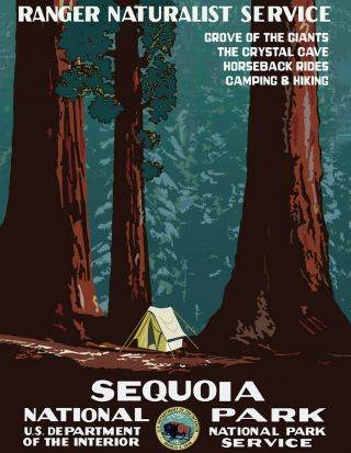1938 Sequoia National Park Vintage Poster,  Art Print 8.  5 " X 11 " Reprint,  Retro