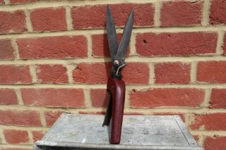 Vintage Wilkinson Garden Hand Shears Clippers,  Topiary plant bush tree trimmer 3