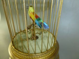 Antique French Bontems Singing Bird Cage Bird Automaton Music Box (watch Video)