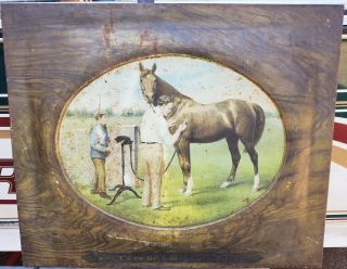 Antique Vtg Stewart Horse Farm Clippers Veterinary Dealer Tin Self Framed Sign