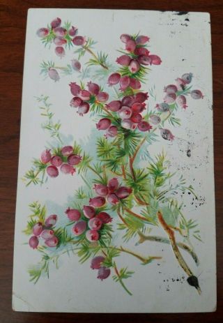 Raphael Tuck - Floral Post Card - Series 120 - Vintage