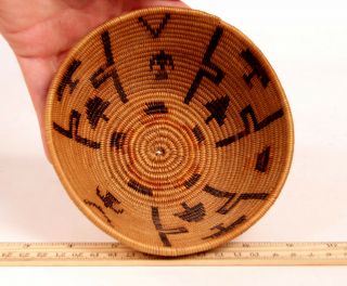 Antique Southern California Mission Indian Basket W/eagles,  Trees Motifs C1920