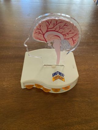 Vintage Imitrex Sumatriptan Succinate Human Brain Display