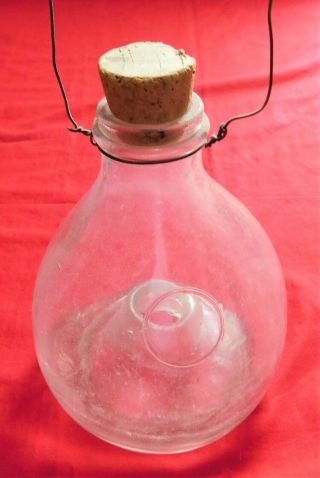 Vintage Glass Insect Catcher