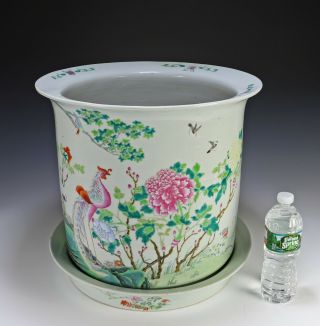 Very Large Antique Chinese Famille Rose Porcelain Planter with Underplate 2