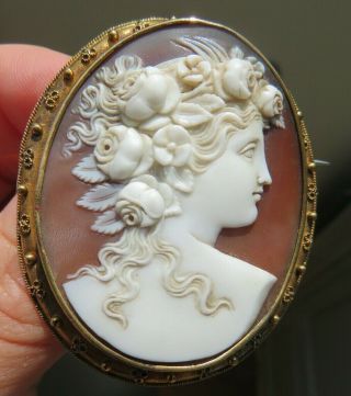Antique Victorian Shell Cameo & Gold Frame Brooch Of Flora