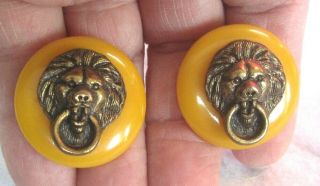 Vintage Bakelite Butterscotch Rare Lion Head Clip On Earrings Ellegant