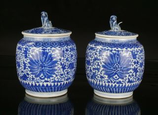Pair Chinese Blue And White Porcelain Lotus Ruyi Lion Vases Jars & Covers 19th C