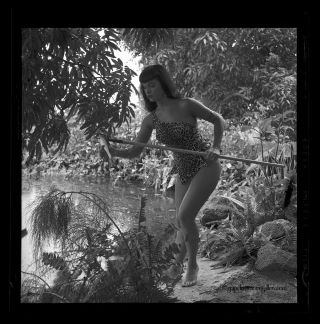Bettie Page Sheena Jungle Girl 1954 Camera Negative Photograph Bunny Yeager Rare 2