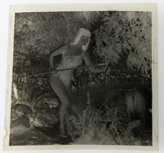 Bettie Page Sheena Jungle Girl 1954 Camera Negative Photograph Bunny Yeager Rare 3