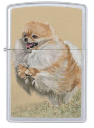 Zippo Lighter - Pomeranian