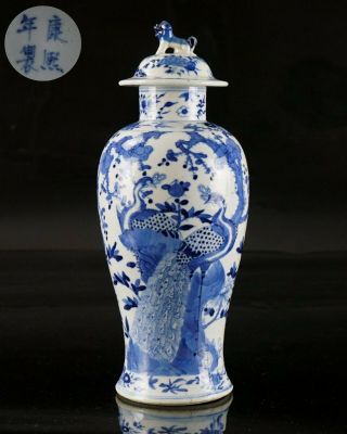 Antique Chinese Blue And White Peacock Porcelain Vase & Cover Kangxi 19th C