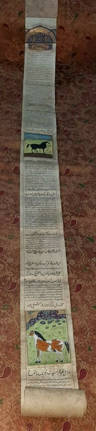 Antique Rare Islamic Handwritten Persian Scroll Manuscript On Horses 19 Century