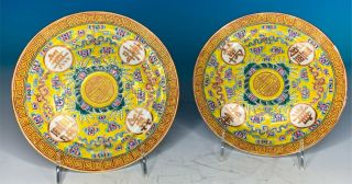 Pair Chinese Yellow Ground Famille Rose Antique Plates Marked