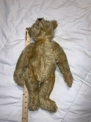 15 " Early Antique Steiff Golden Mohair Jointed Teddy Bear W/ Old Button