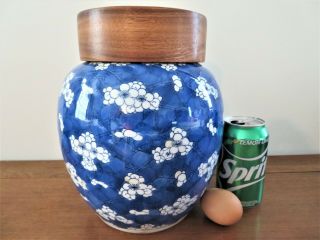 Antique Chinese Blue & White Prunus Blossoms Porcelain Vase Kangxi Period Large