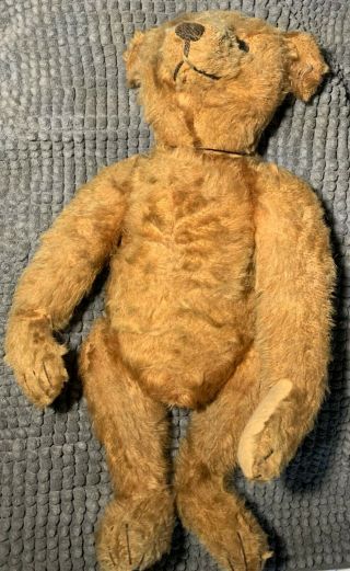 15 " Early Antique Steiff Rust Golden Mohair Jointed Teddy Bear W/ Old Tag