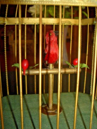 Best Quality German Antique Singing Bird Cage Music Box Automaton - All