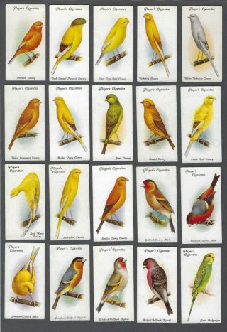 1933 John Player & Sons Aviary And Cage Birds Tobacco Cards Complete Set Of 50