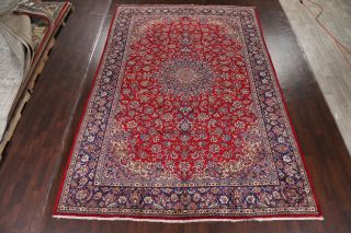 Vintage Traditional Floral Najafabad Area Rug Hand - Knotted Medallion Wool 10x14 3