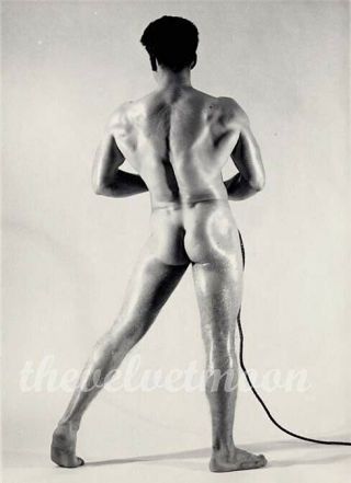 Vintage Male Nude - Bruce Of La Kensington Rd Muscular Harry Domec Studio Pose