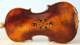 Old Violin 4/4 Geige Viola Cello Fiddle Label Dominicus Montagnana 1187
