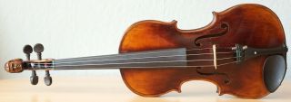 old violin 4/4 geige viola cello fiddle label DOMINICUS MONTAGNANA 1187 2