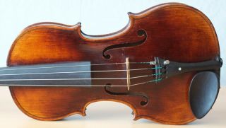 old violin 4/4 geige viola cello fiddle label DOMINICUS MONTAGNANA 1187 3