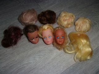 Barbie Family - Dolls Head,  Wigs - 3 Heads - 6 Wigs - Blonde,  Brunette