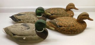 Vintage Herters Model 72 Hand Painted Duck Decoys 2 Drake 2 Hen Mallards