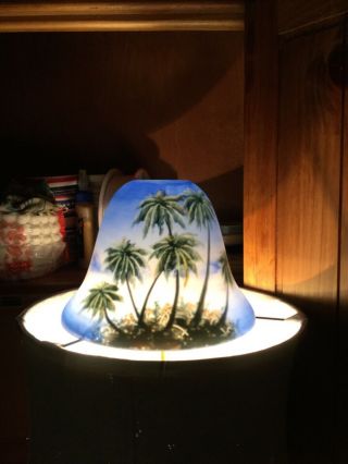 Vintage Glass Reverse Hand Painted Lamp Shade Tropical Hawaii