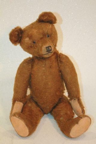 Antique Steiff 17 " Teddy Bear Brown Mohair - Glass Eyes - Jointed