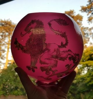 Antique Victorian Gwtw Ruby Cranberry Rampant Lion Glass Oil Lamp Shade 2.  5 Inch