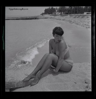 Sassy Bettie Page 1954 Camera Negative Bunny Yeager W/ Copyright Transfer Rare 2