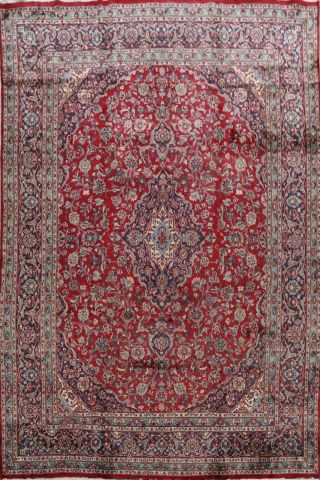Floral Hand - Knotted Traditional Ardakan Area Rug 9 