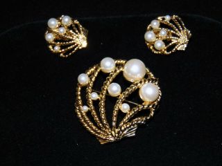 Vintage Signed Trifari Shell Brooch And Earrings Set Faux Pearls