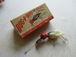 Rare And Bug - R - Bird Lure