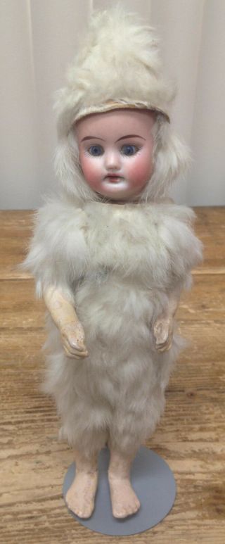 Antique German Bisque Doll Baby Blue Eyes Teeth Snowbaby Falk Fur Costume Rare