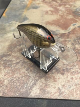 Awesome Vintage Bagley Db - 3 Fishing Lure @look@ Tough Color With Red Eyes