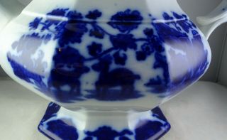 Antique Flow Blue Cashmere Tea Coffee Pot w/Lid - Acorn Finial 2