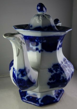 Antique Flow Blue Cashmere Tea Coffee Pot w/Lid - Acorn Finial 3
