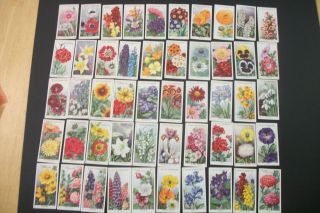 Cigarette Tobacco Cards Wills Garden Flowers 1933 Full Set 50 Cards