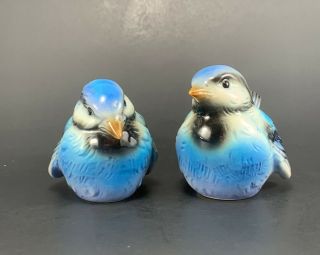 Vintage Goebel Blue Bird Bluejay Cv73 Cv74 Figurines W Germany - Set Of 2