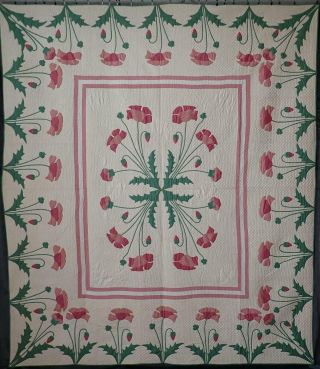 Exceptional Antique Marie Webster Applique Pink Poppy Quilt Provenance