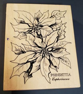 Vintage Psx Christmas Poinsettia Botanical Rubber Stamp K - 744