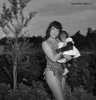Bettie Page Sexy Pin - Up 1954 Camera Negative Photograph Bunny Yeager With Chimp