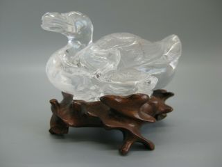 Fine Old Chinese Carved Rock Crystal Duck Statue Figure Carving W/wood Stand