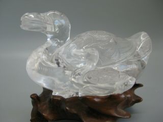 Fine Old Chinese Carved Rock Crystal Duck Statue Figure Carving w/Wood Stand 2
